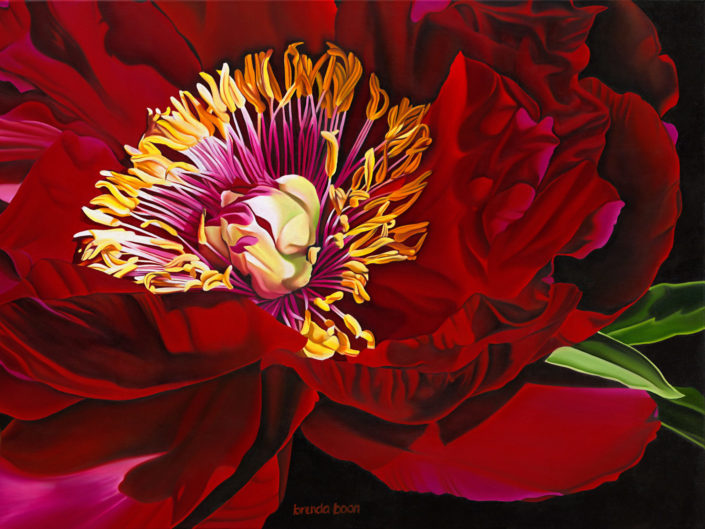 Peony, oil painting, canvas art, wall art, canvas print