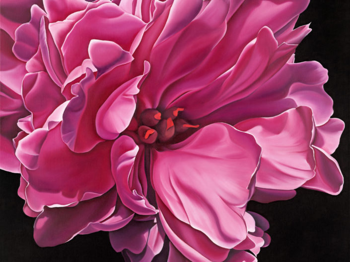 Peony, oil painting, canvas art, wall art, canvas print